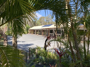 Home View